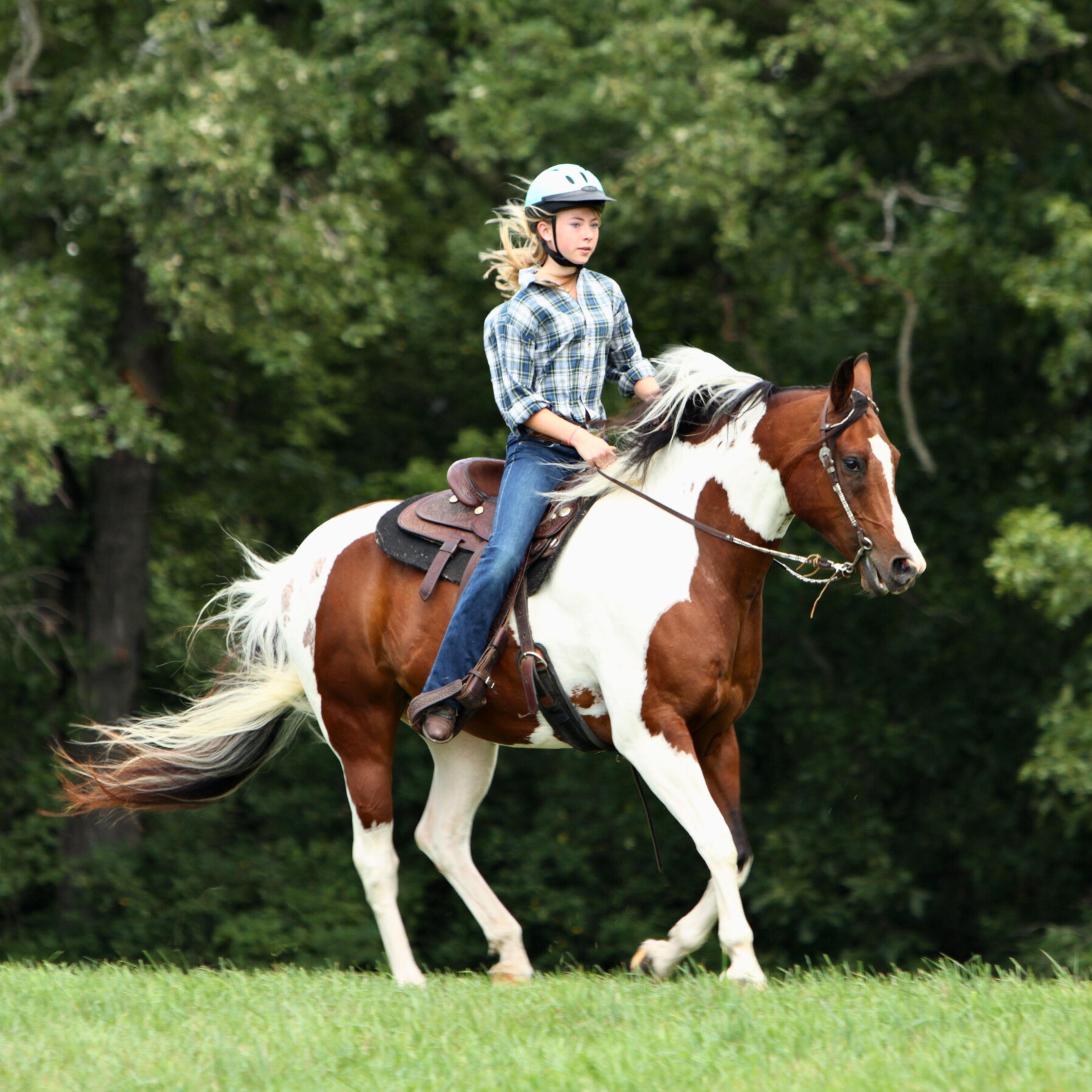 How to Find the Perfect Saddle for You and Your Horse