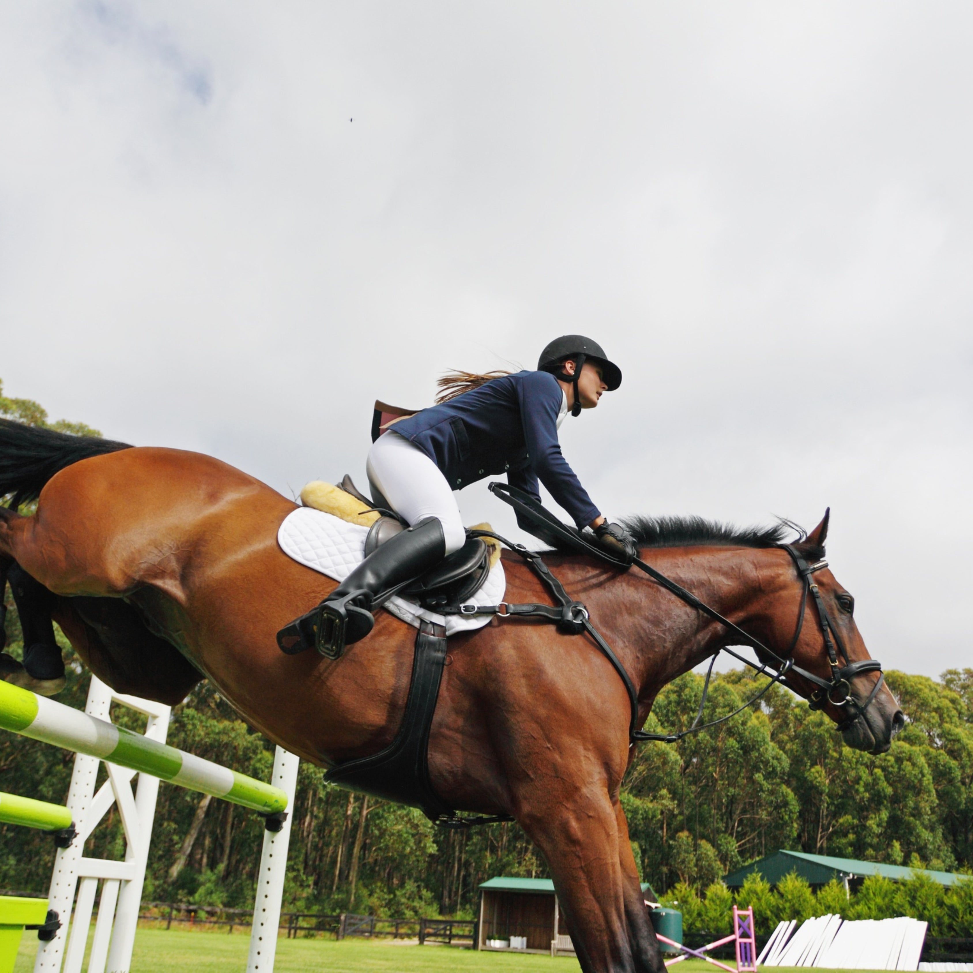 Hunter vs. Jumper Attire Explained