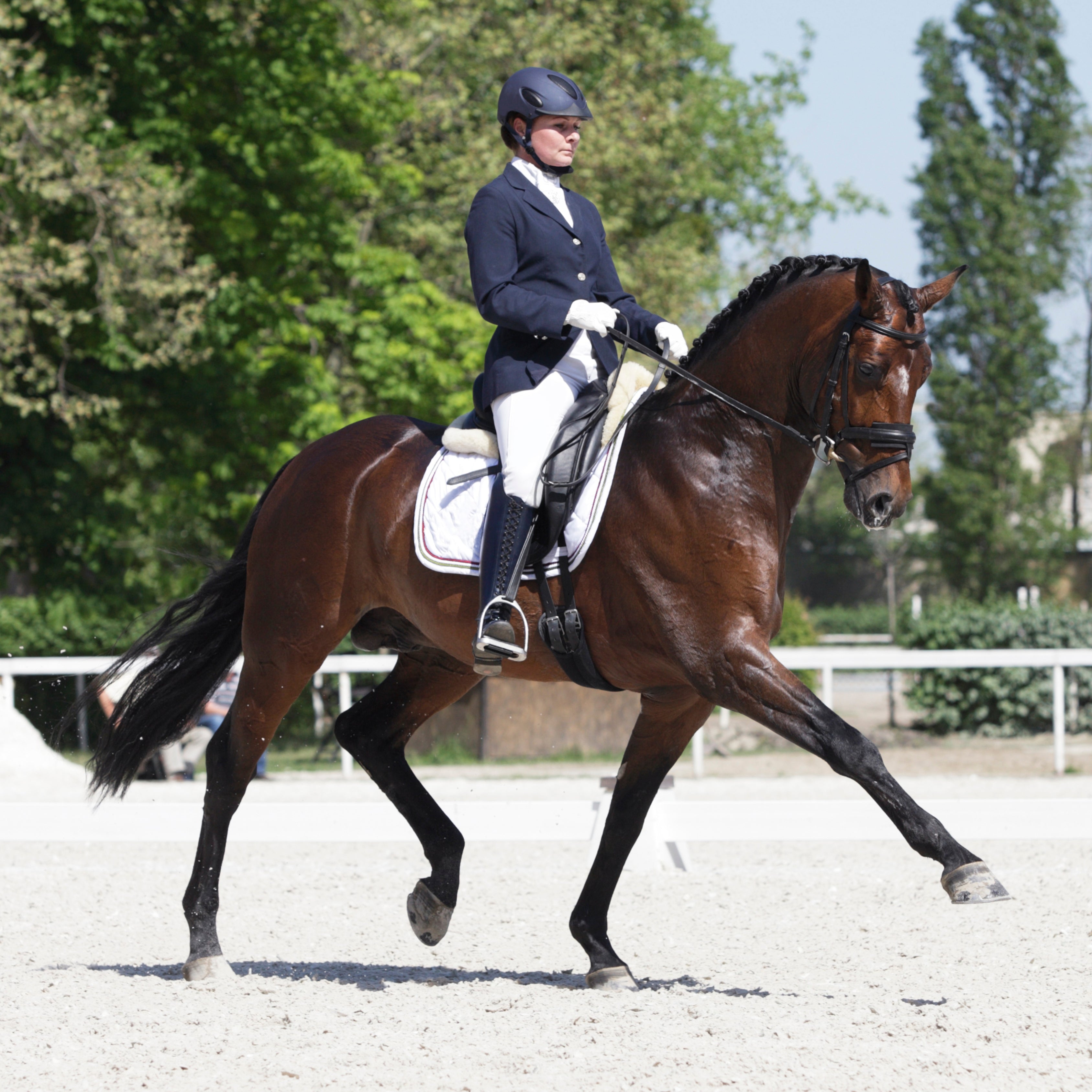 The Origins of Dressage