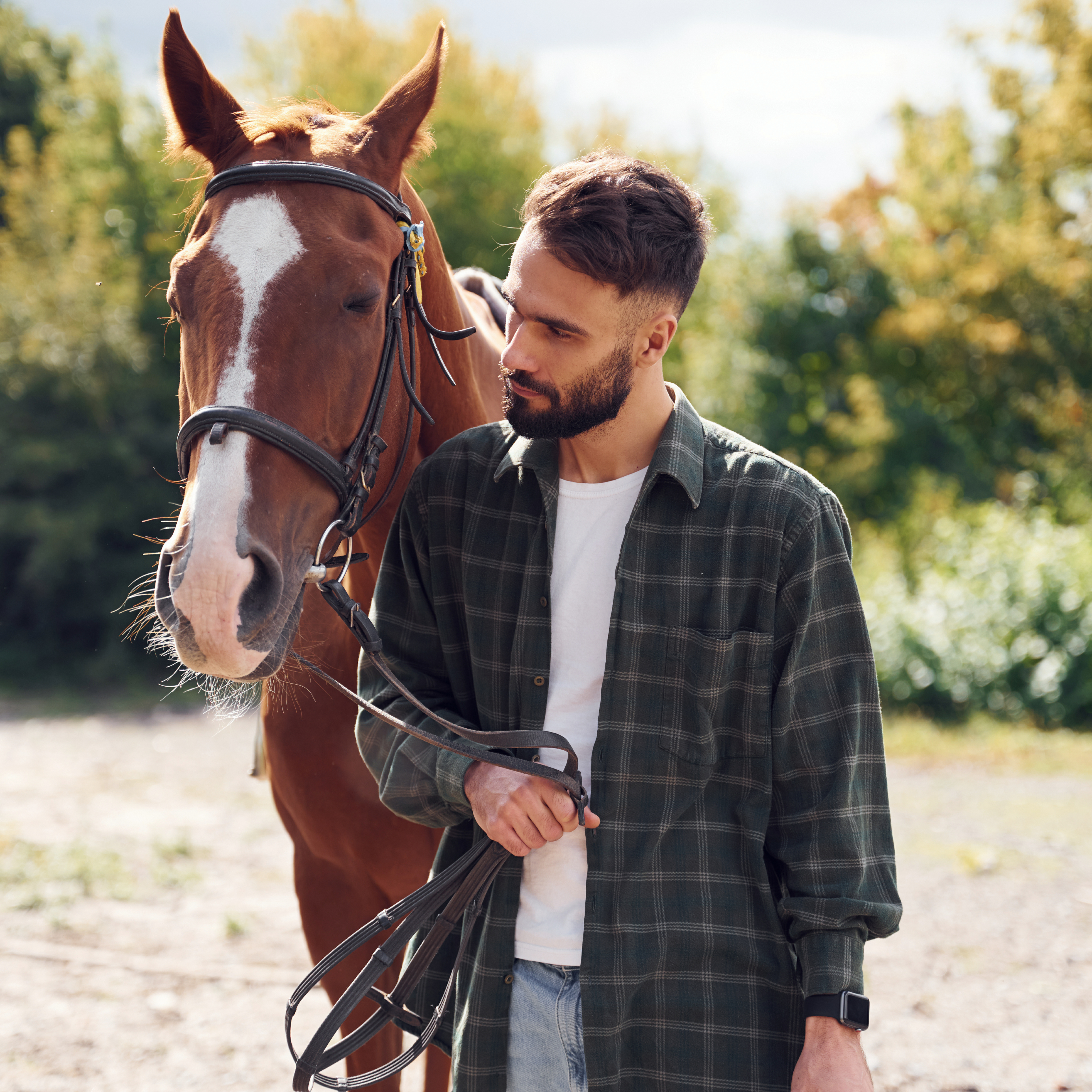 Feeding Tips for Happy Horses