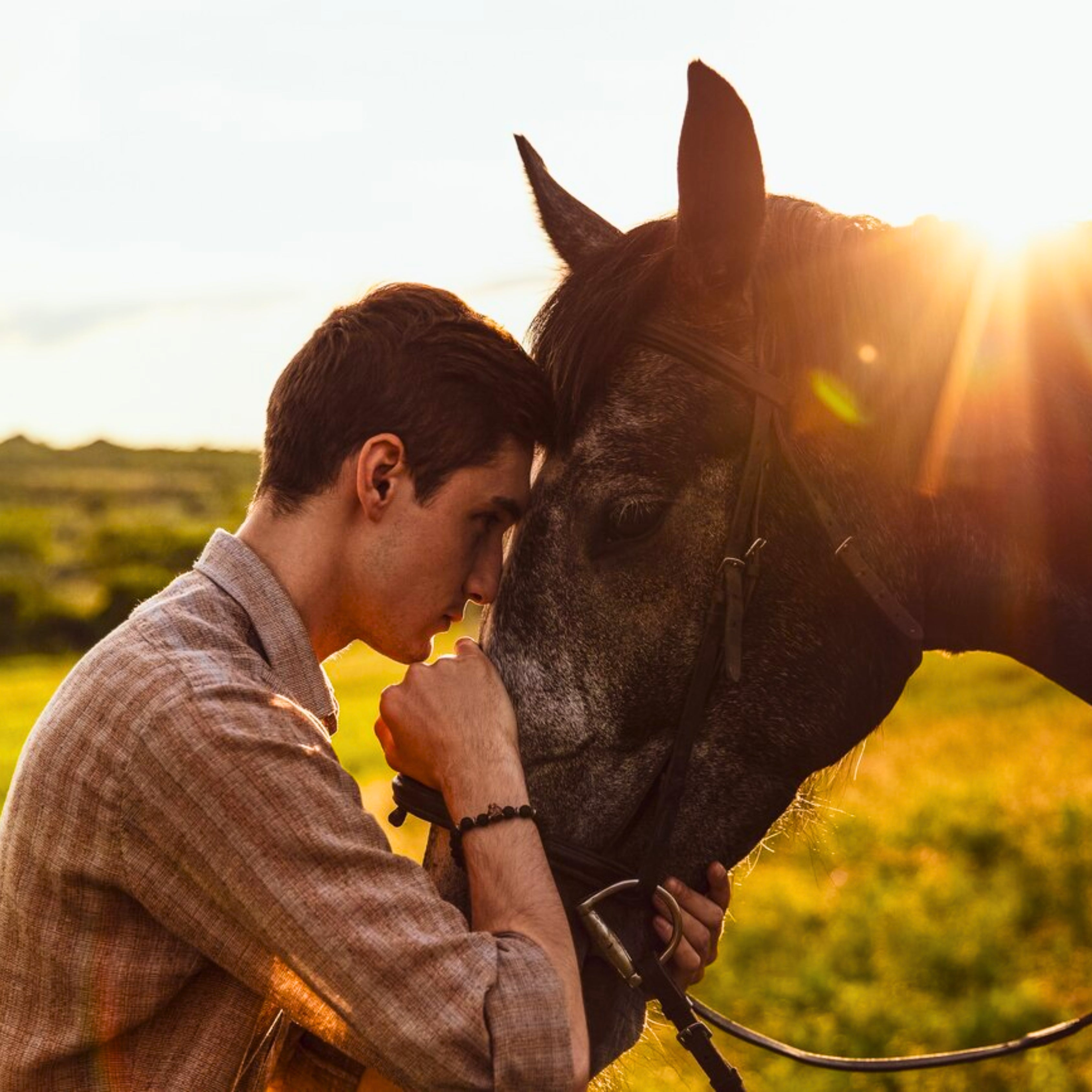 How to Bond With Your Horse