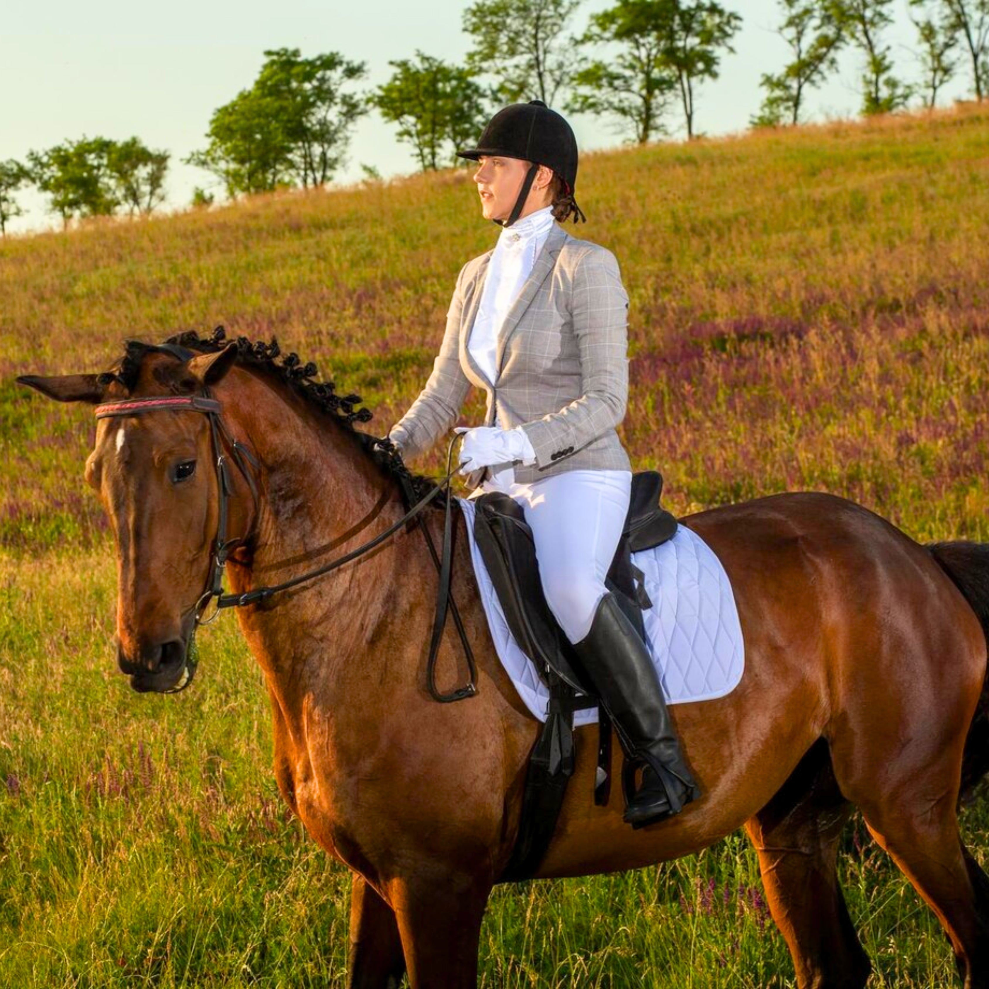 Equestrian Hairstyles That Stay Put