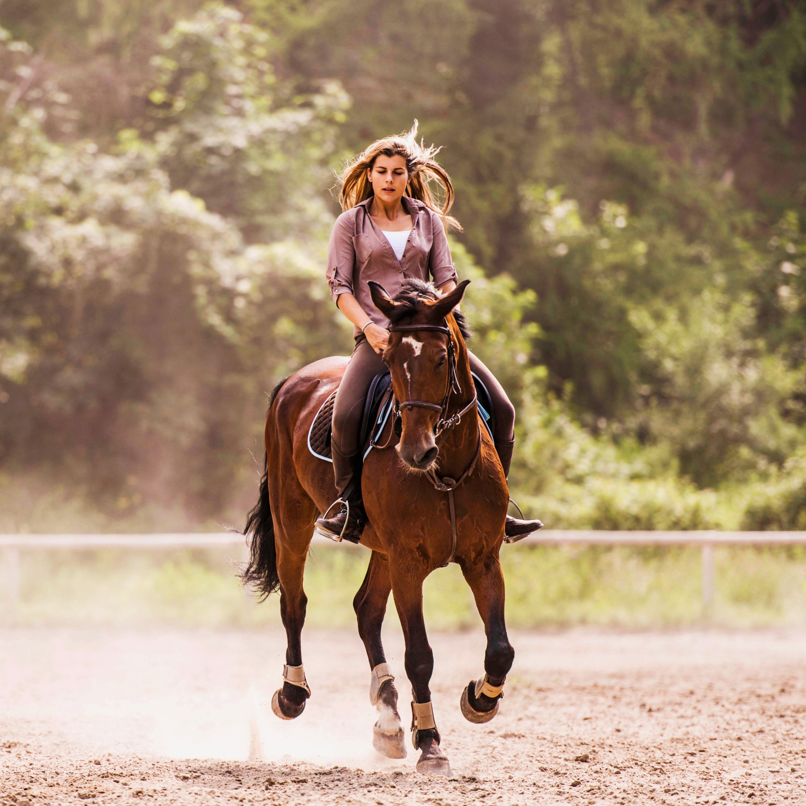 Beginner’s Guide to Horseback Riding