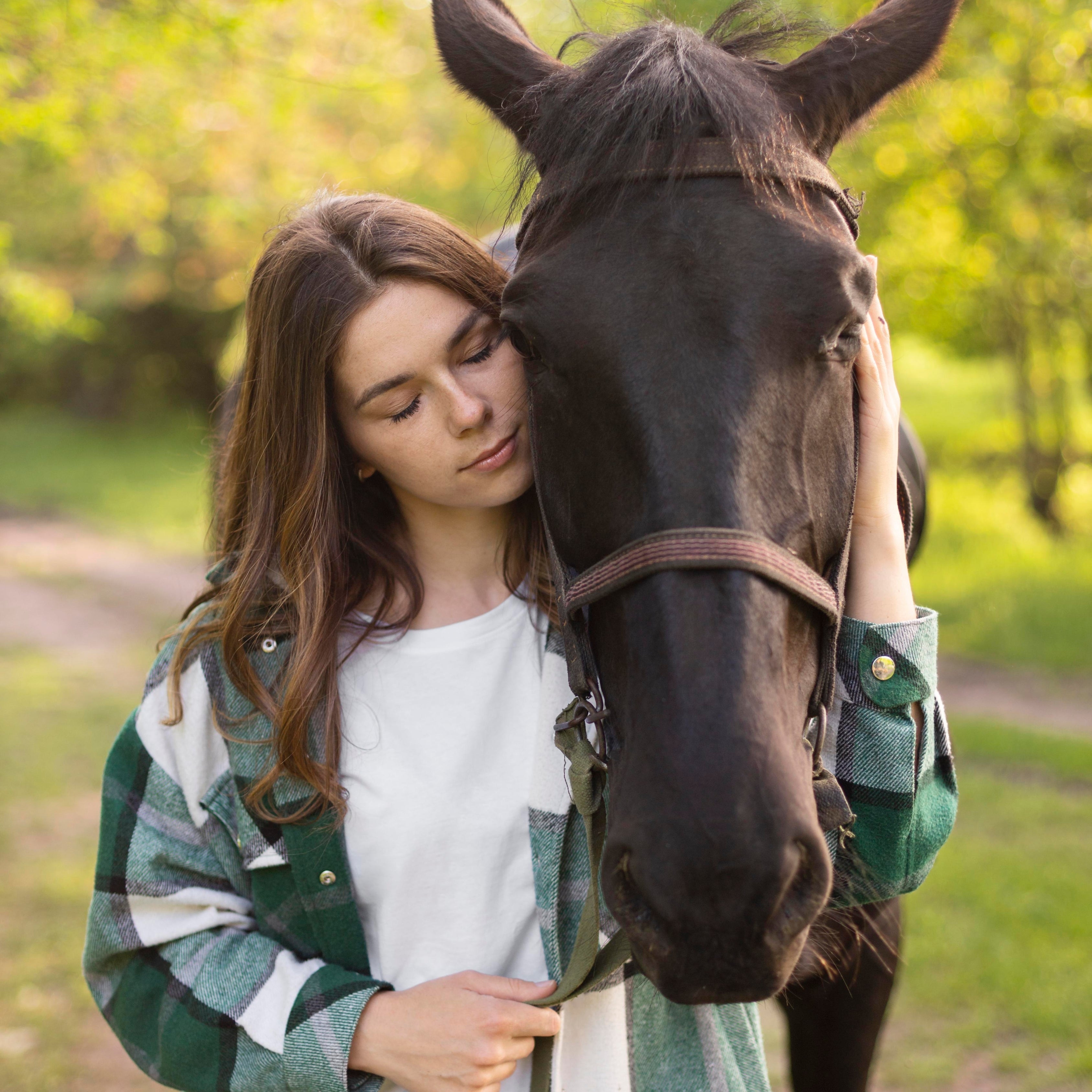 Why Horses Are Good for Mental Health