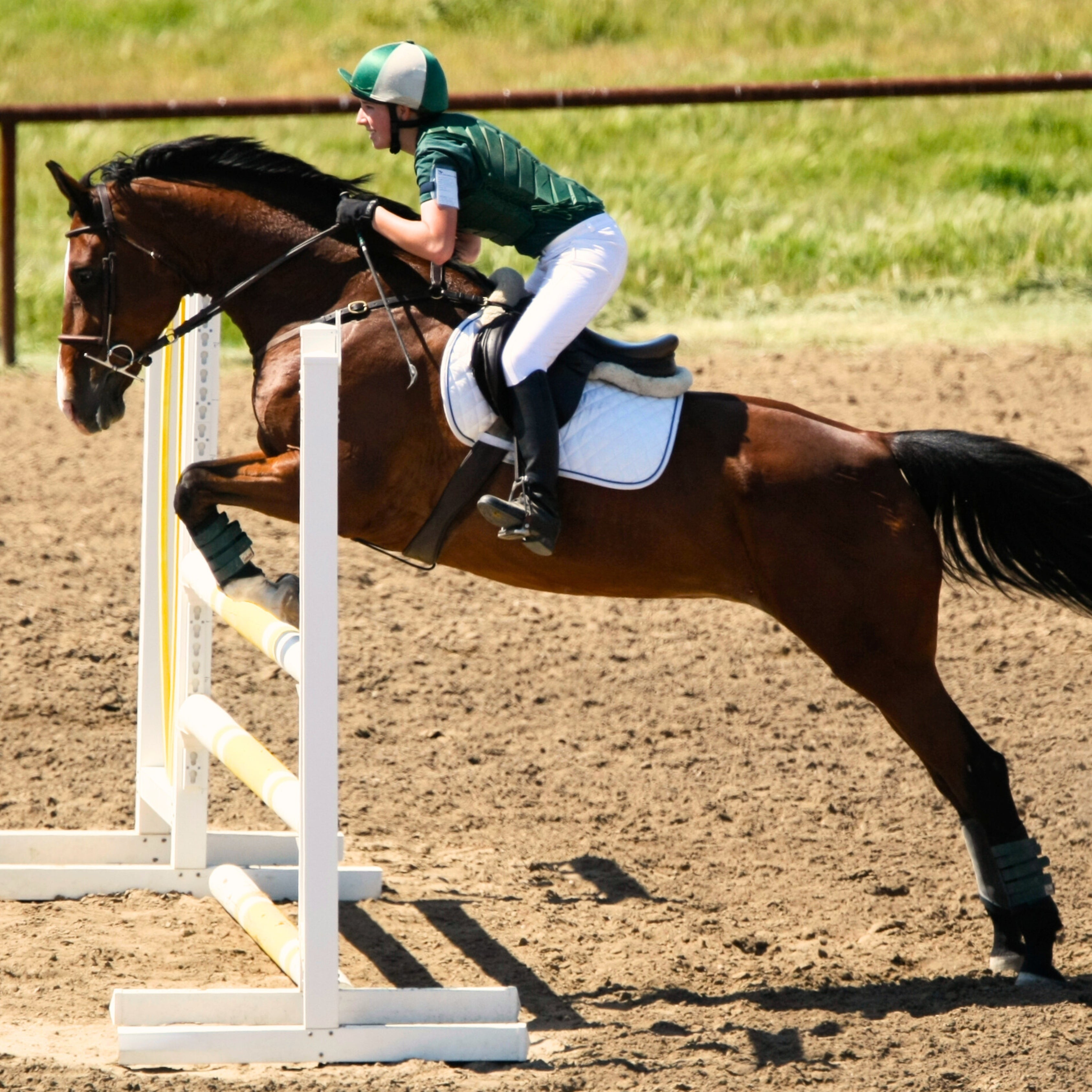 A Comprehensive Guide to Equestrian Competition Types
