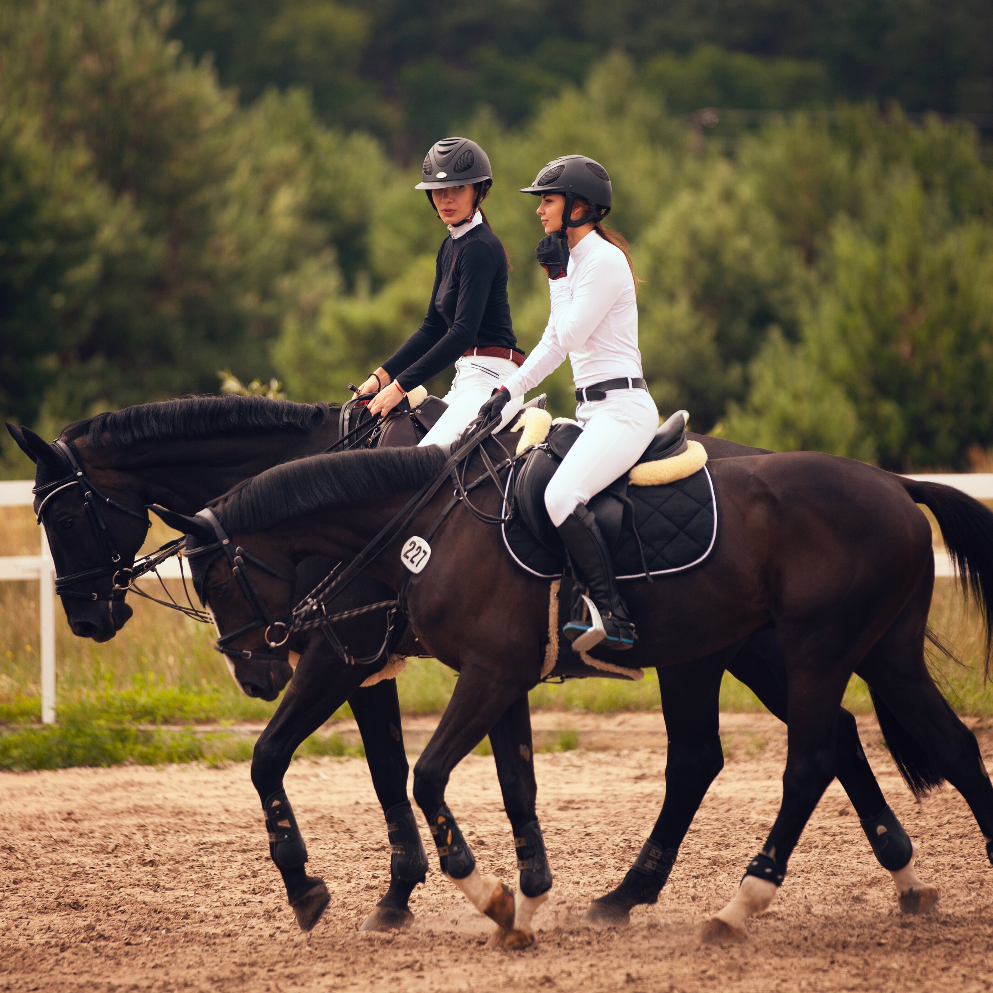 How to Pack for an Equestrian Competition: Checklist & Must-Haves