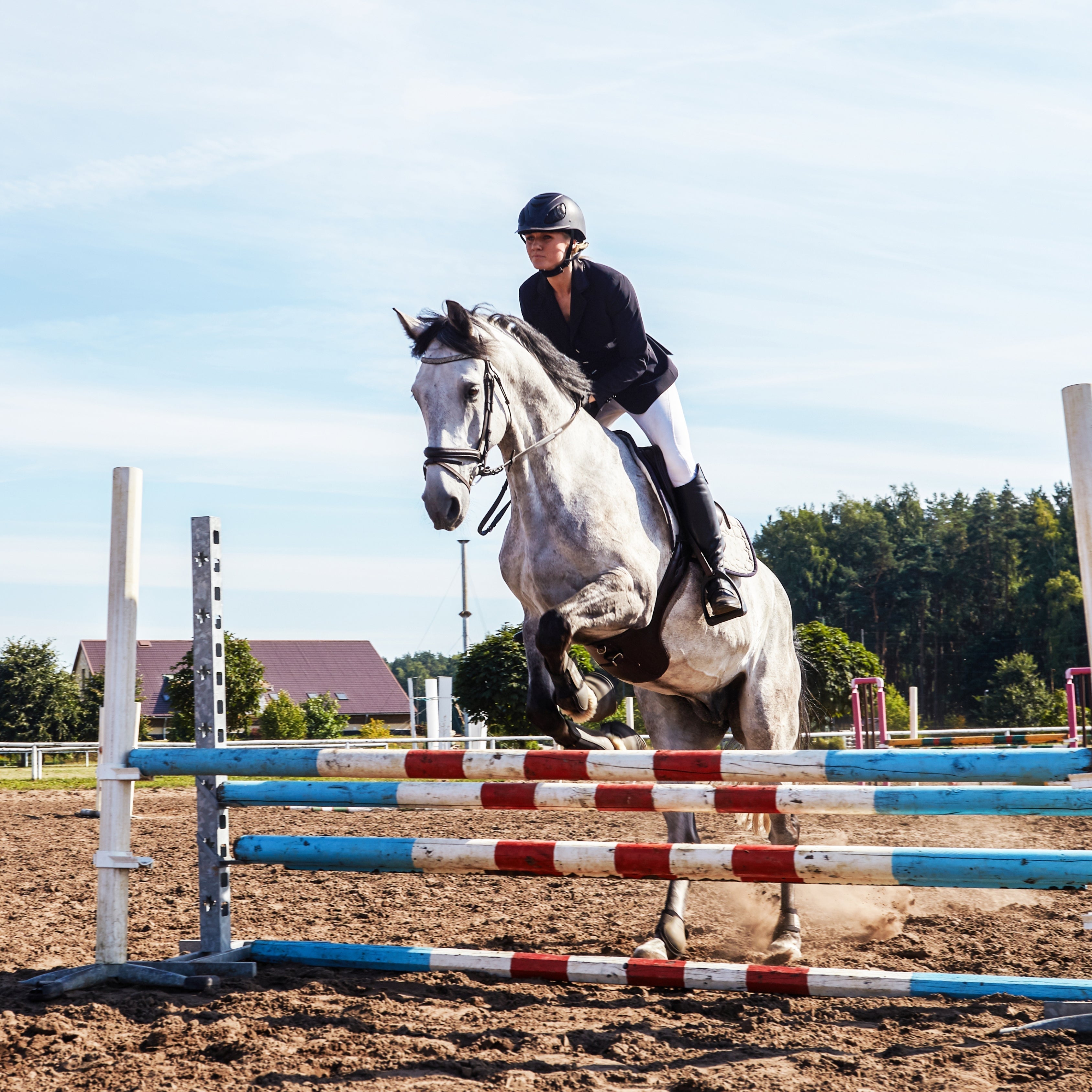 Olympic Equestrian Events Explained