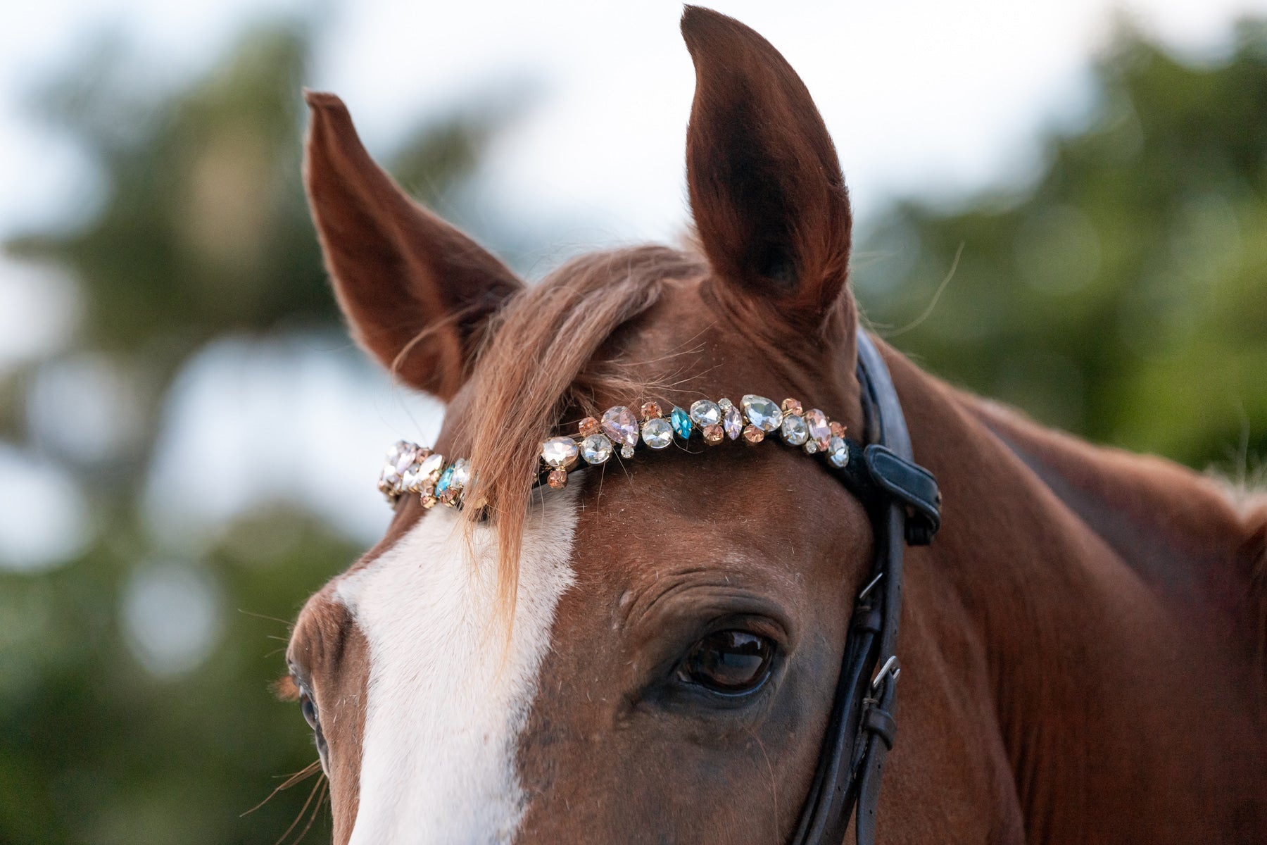 Ania Browband By Masego