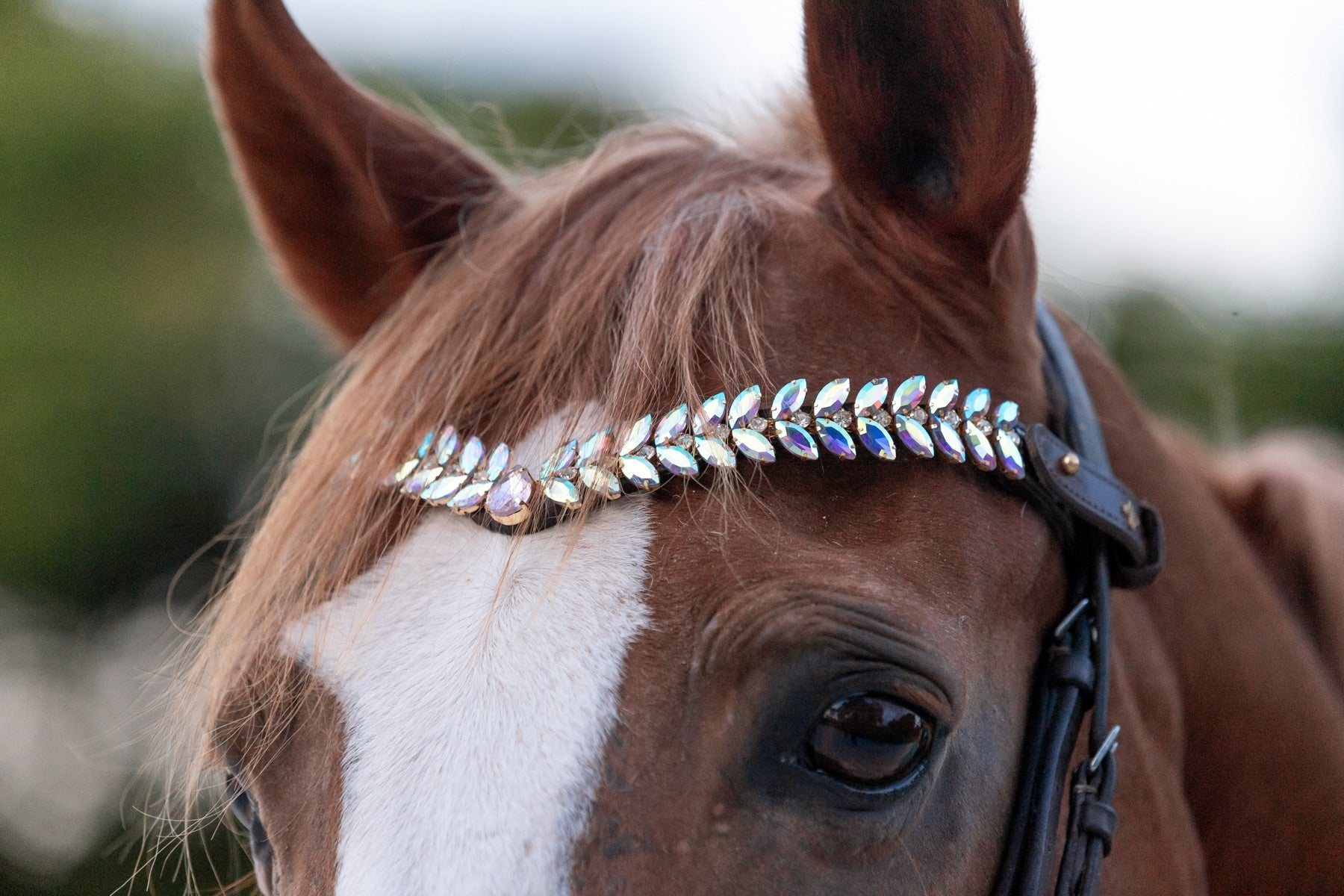 Frozen Rose Browband By Masego