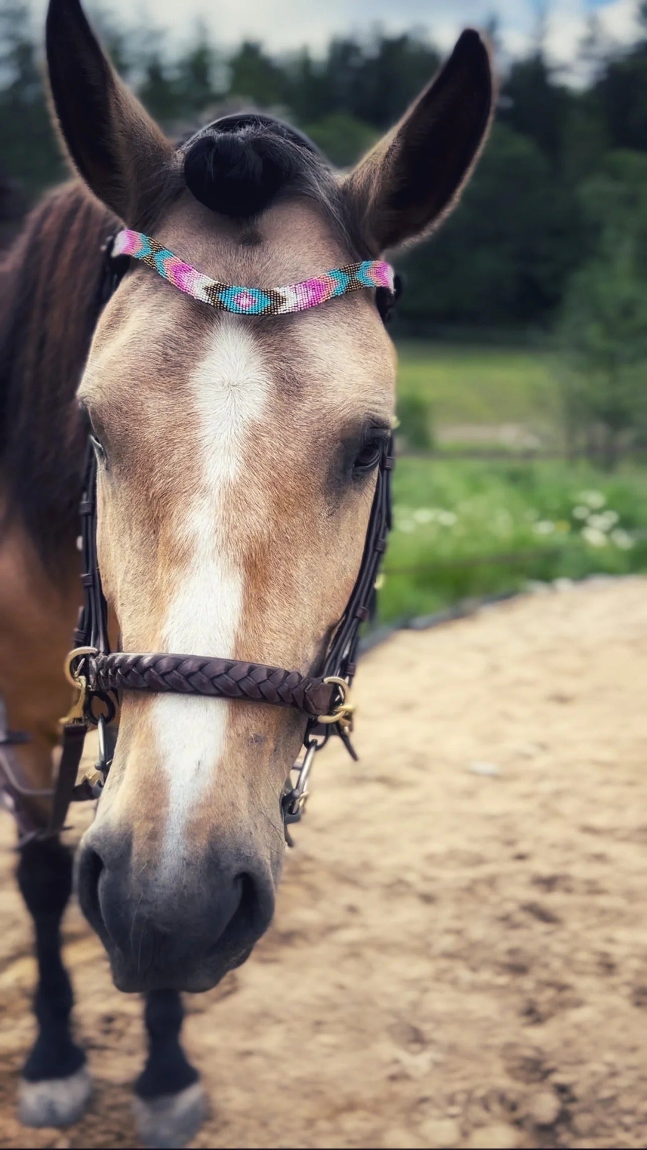 Eve Browband by Masego