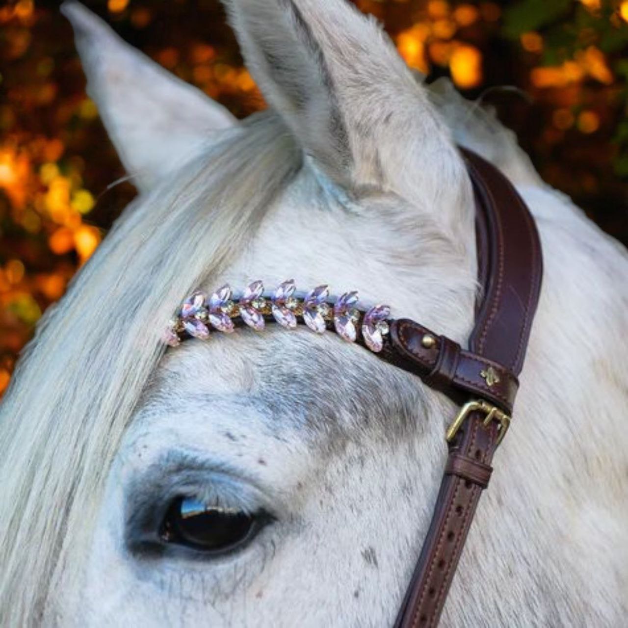 Viva Browband By Masego