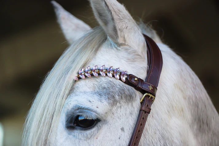 Viva Browband By Masego