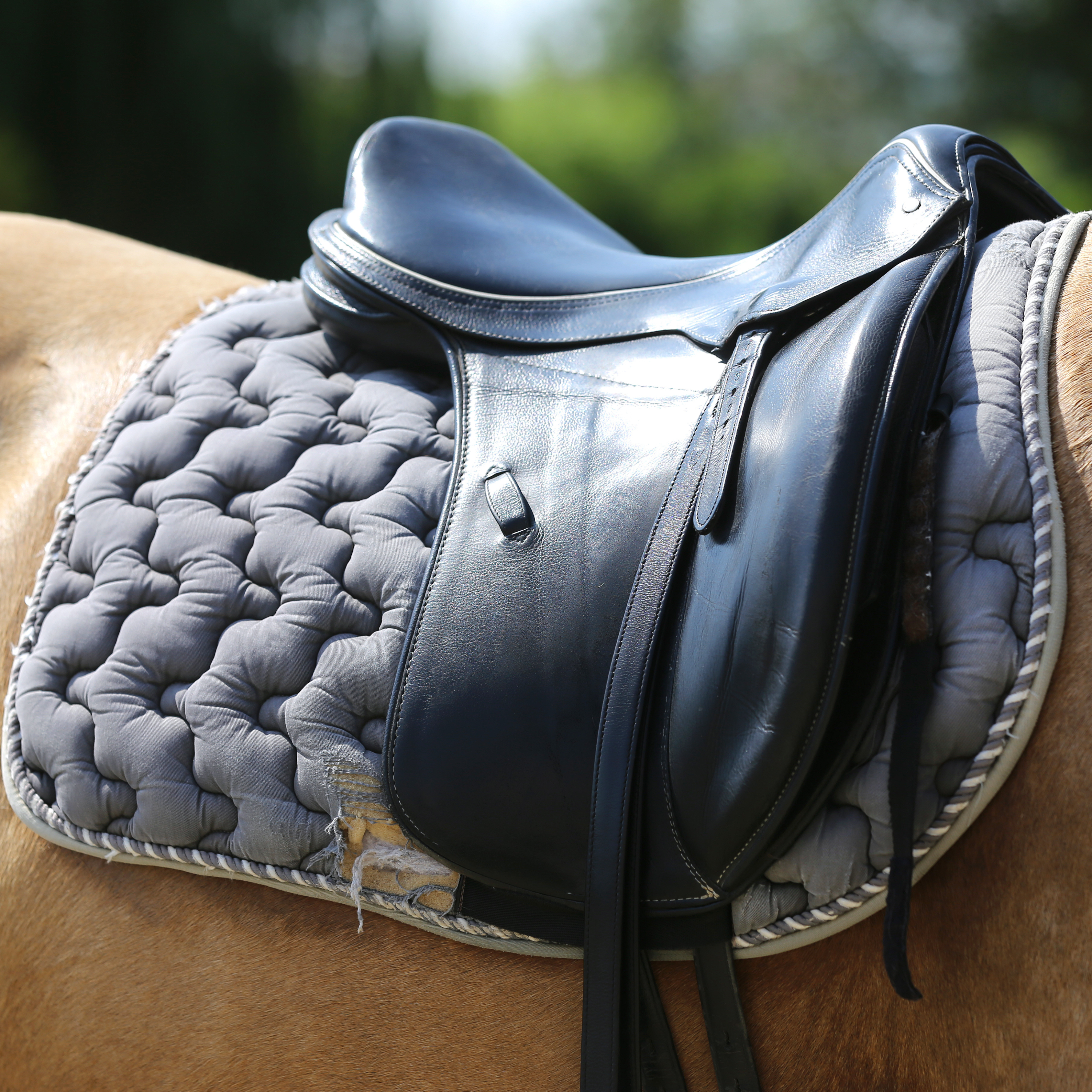 How to Get Your Saddle Pad to Last Longer