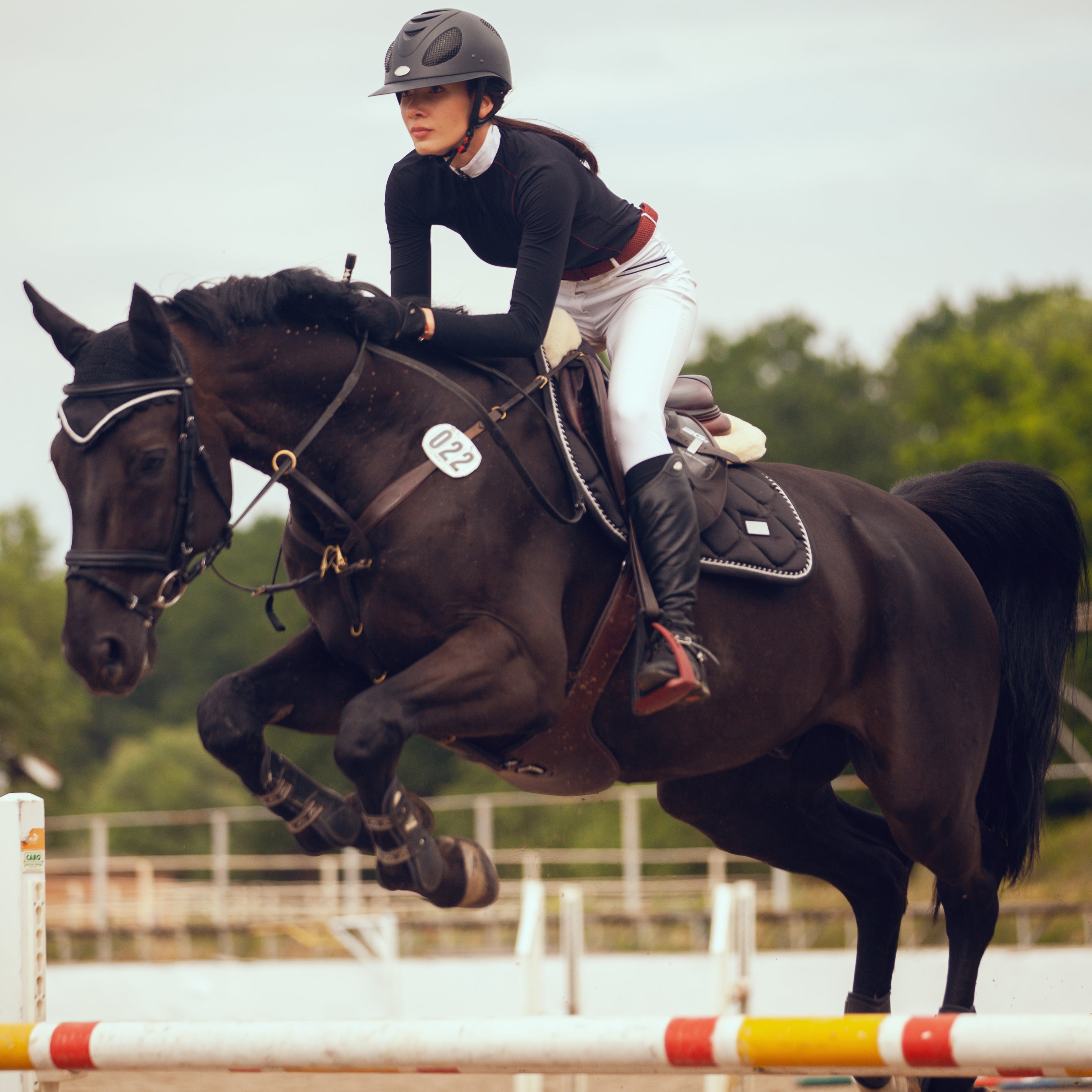 Top Equestrian Fashion Trends for 2025