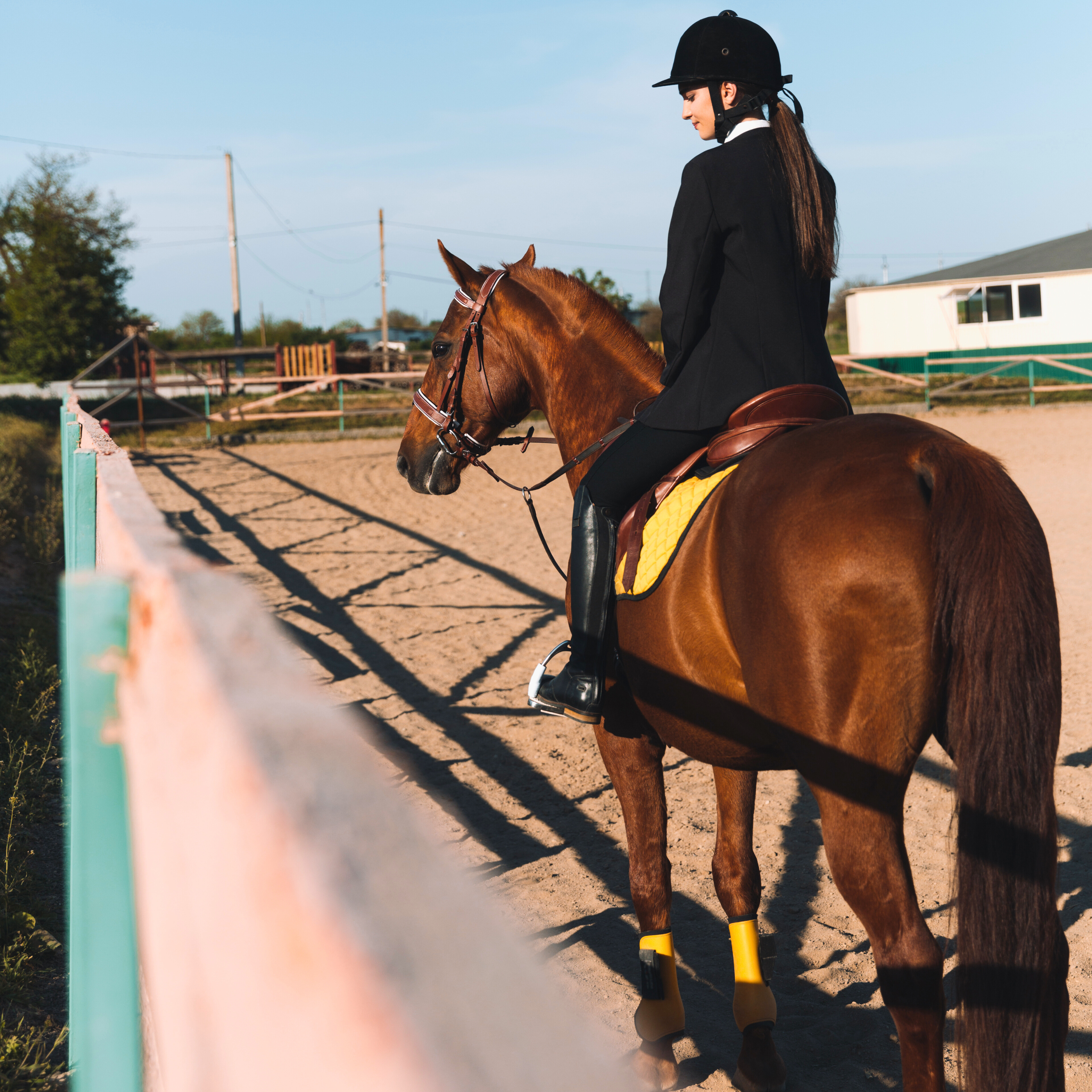 How to Store Tack Like a Pro