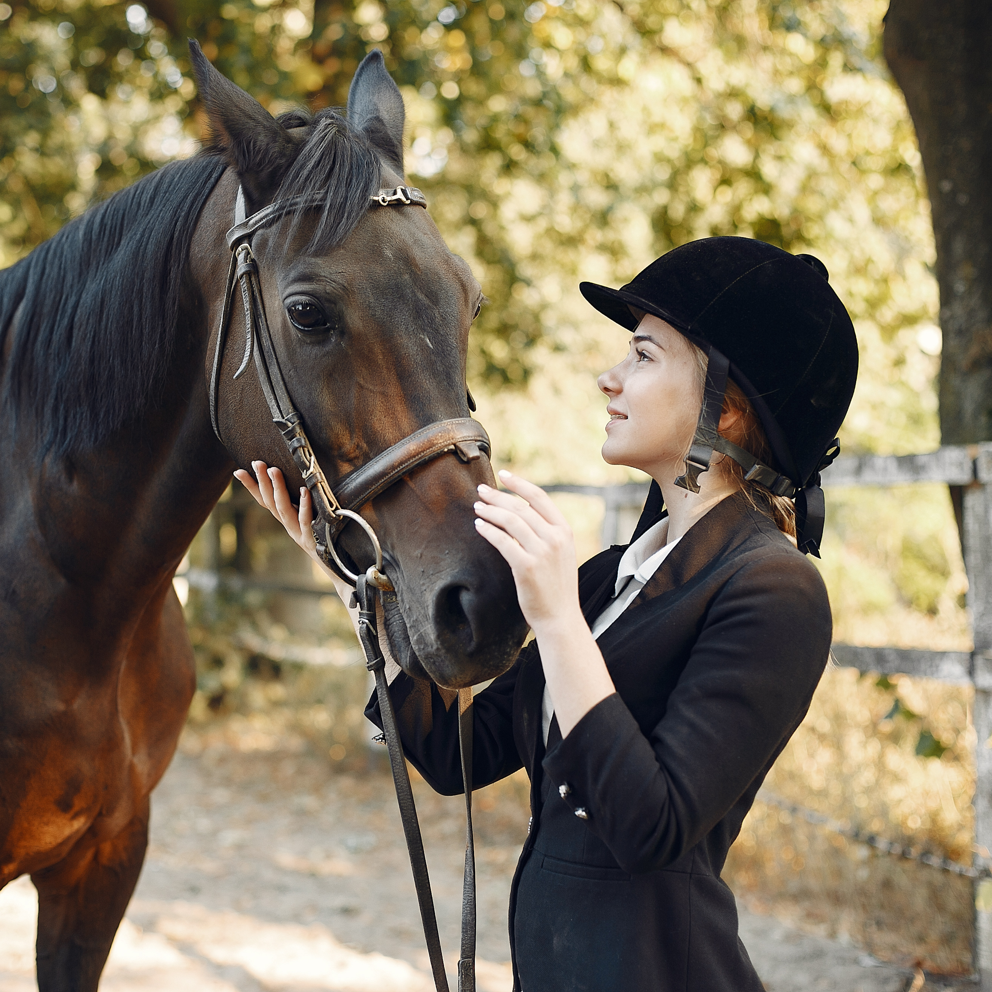 How to Keep Your Horse Comfortable at Shows