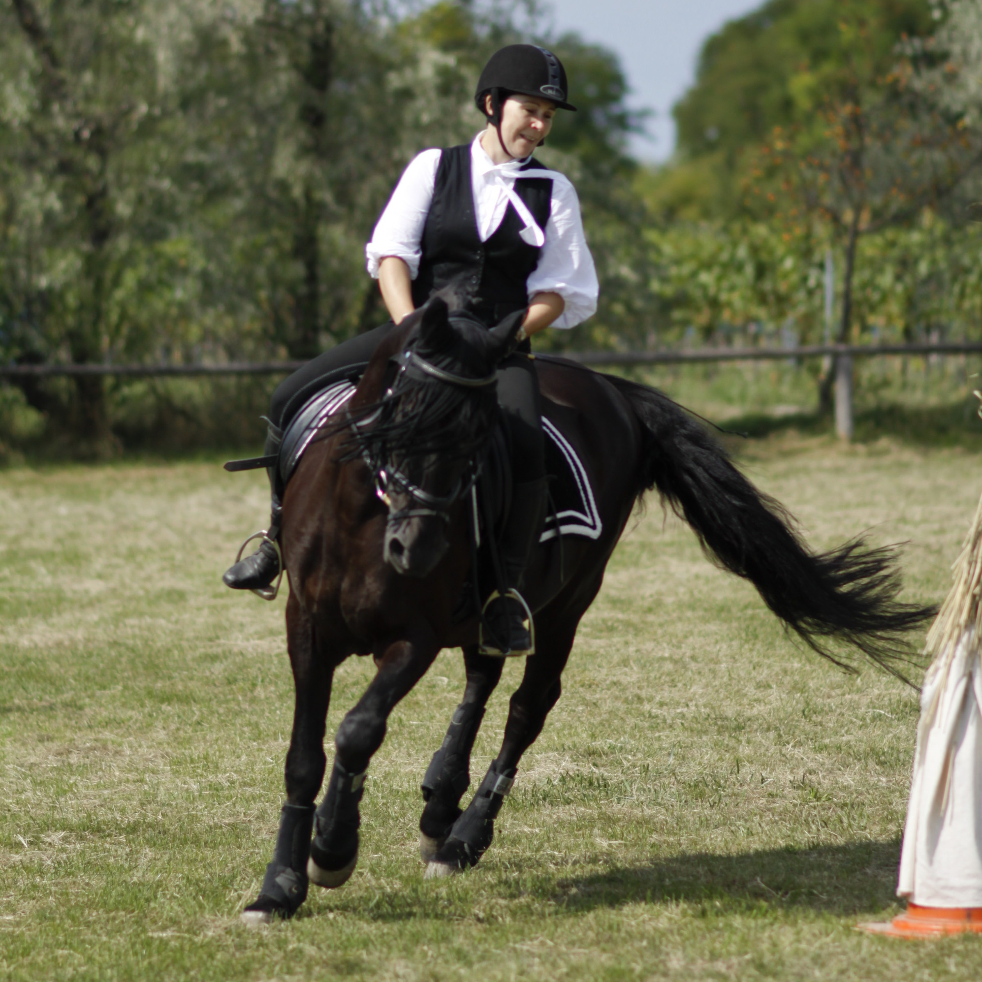 The Essential Glossary of Equestrian Tack Terms