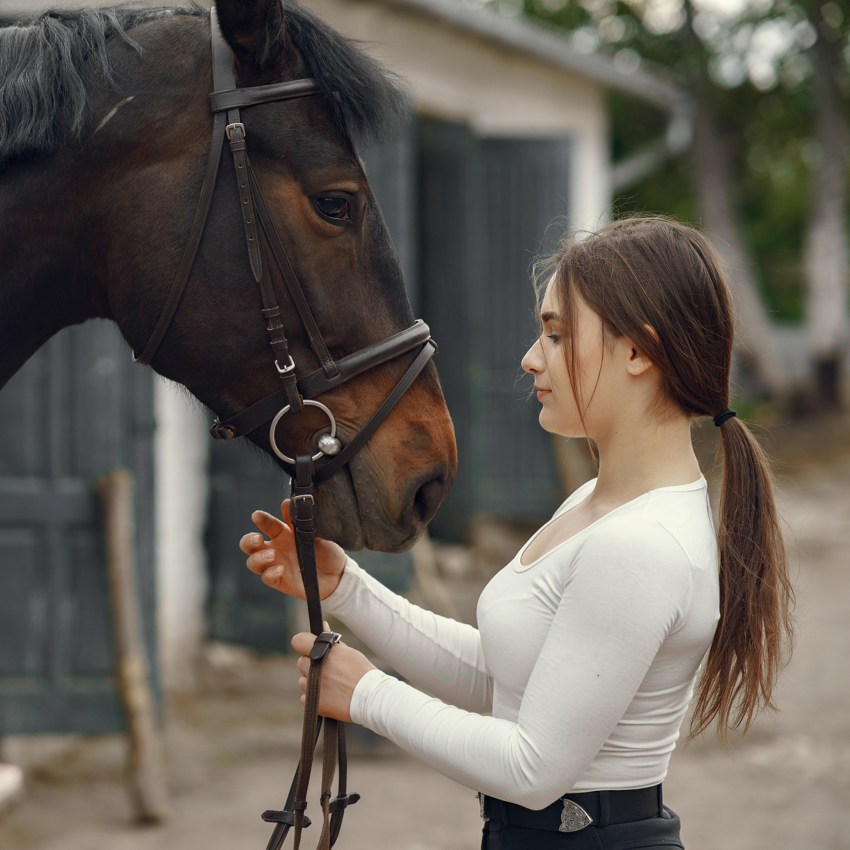 The Difference Between Schooling and Show Apparel