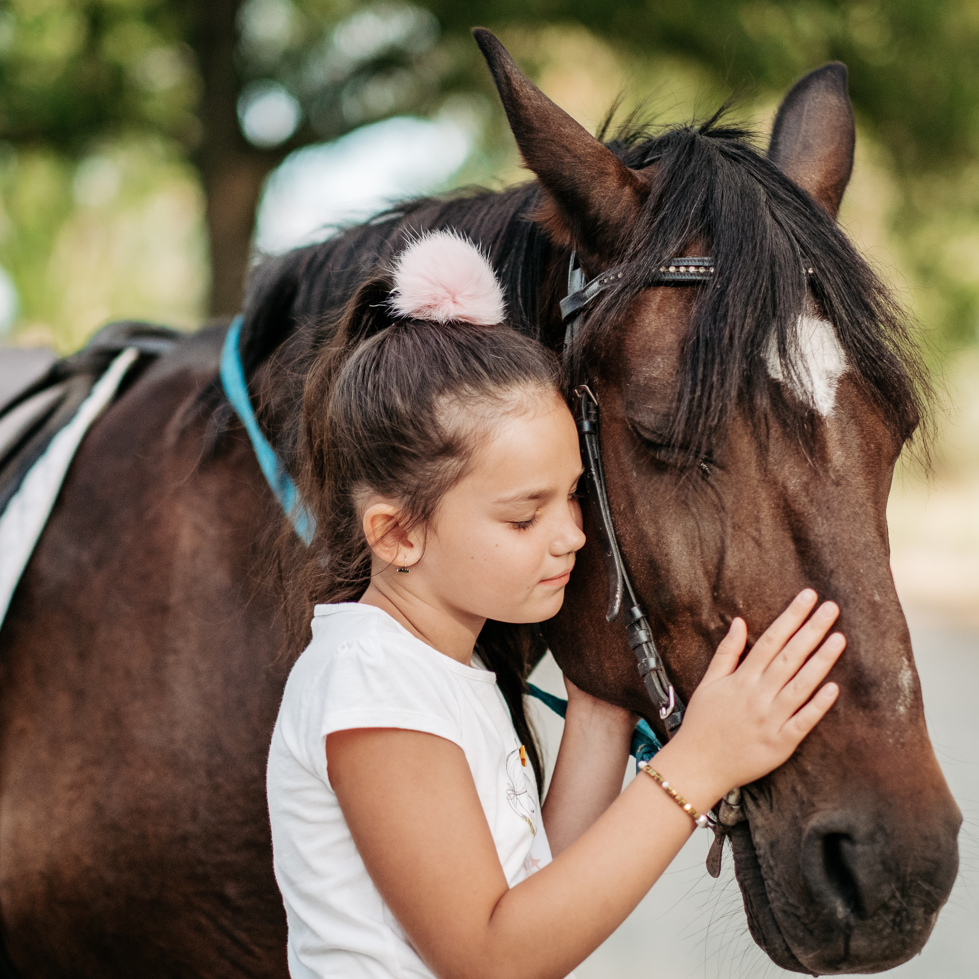 The Science Behind Horse-Human Bonds: Why Horses Trust Us