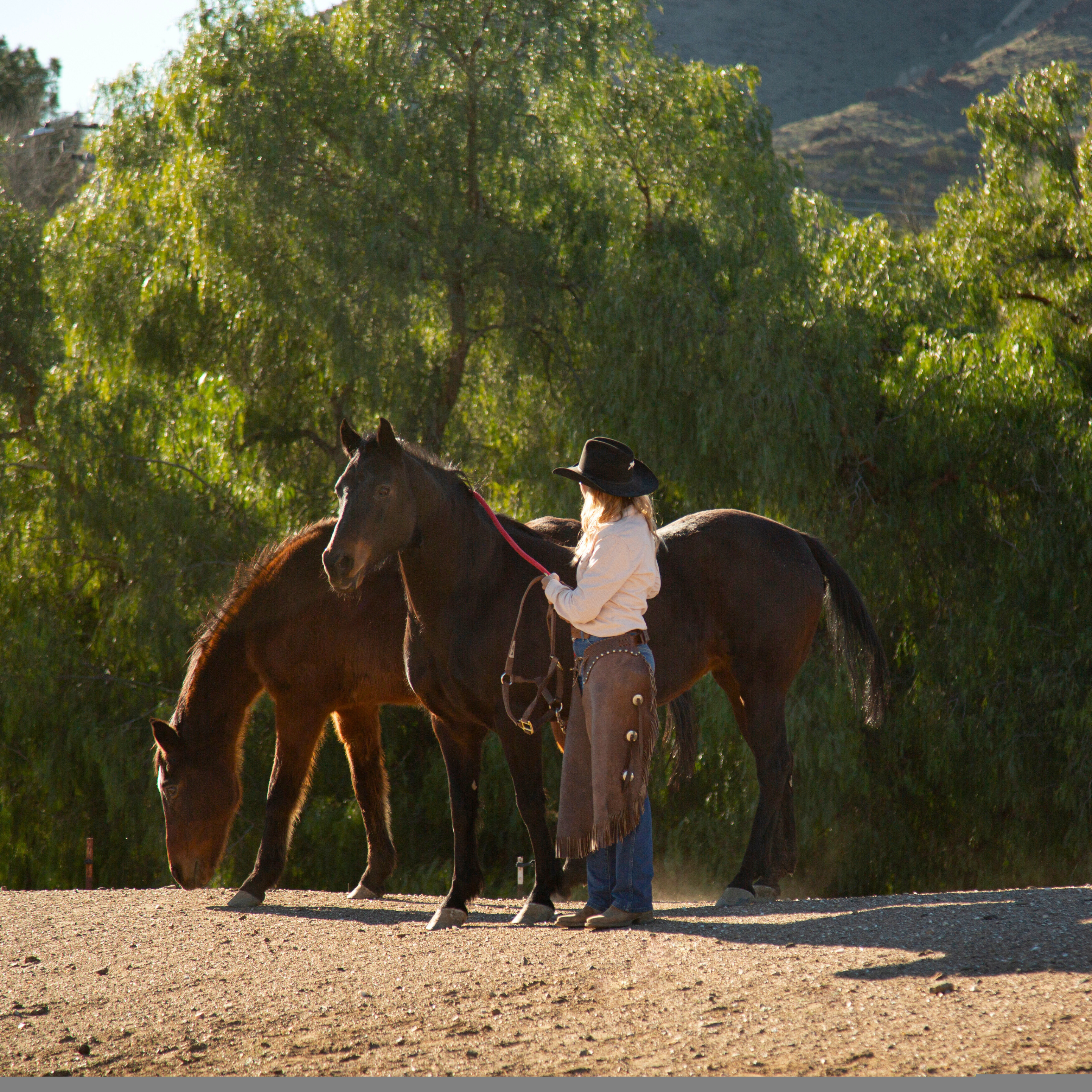Best Horseback Riding Trails in The World