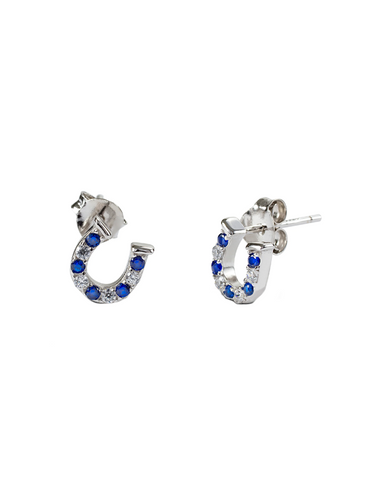 Kelly Herd Blue & Clear Horseshoe Earrings