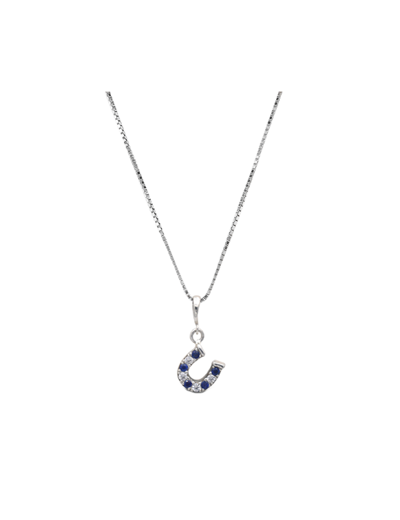 Kelly Herd Blue & Clear Dangle Horseshoe Necklace