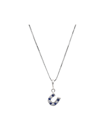 Kelly Herd Blue & Clear Dangle Horseshoe Necklace