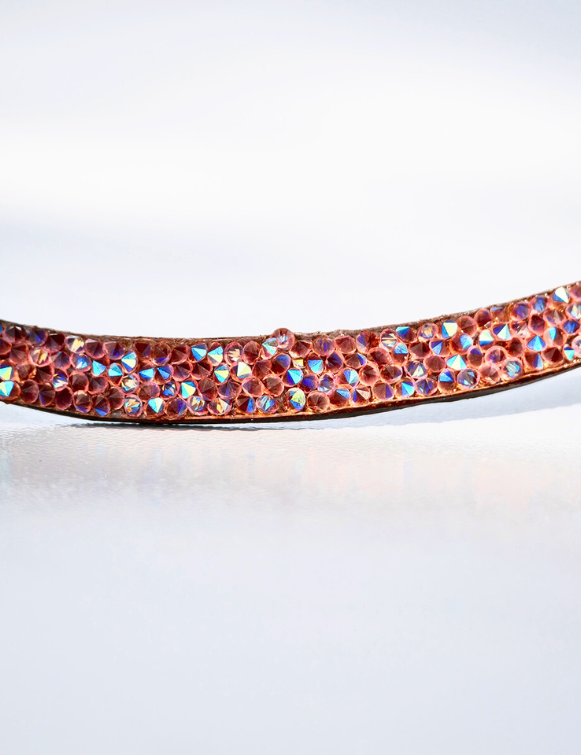 Unicorn Kiss BrowBand