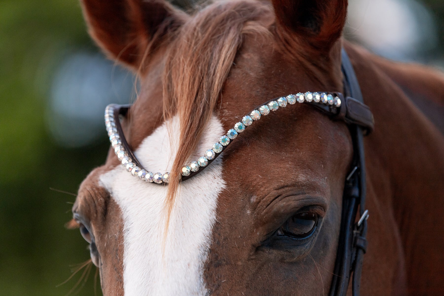 White Rainbow BrowBand By Masego