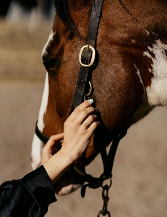 Palmera Polo - Josefina Horseshoe Ring