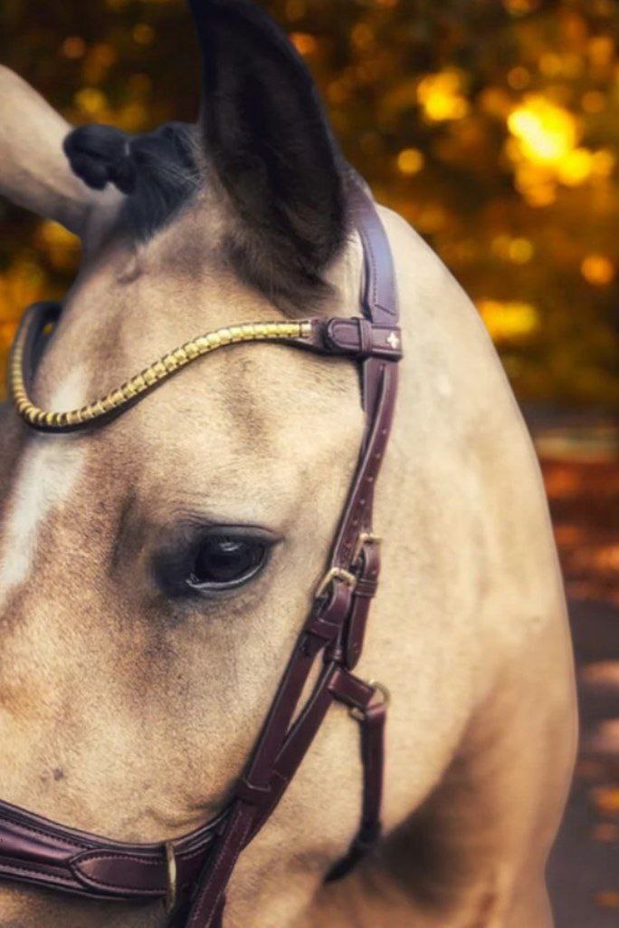 Slim Klinker Browband By Masego