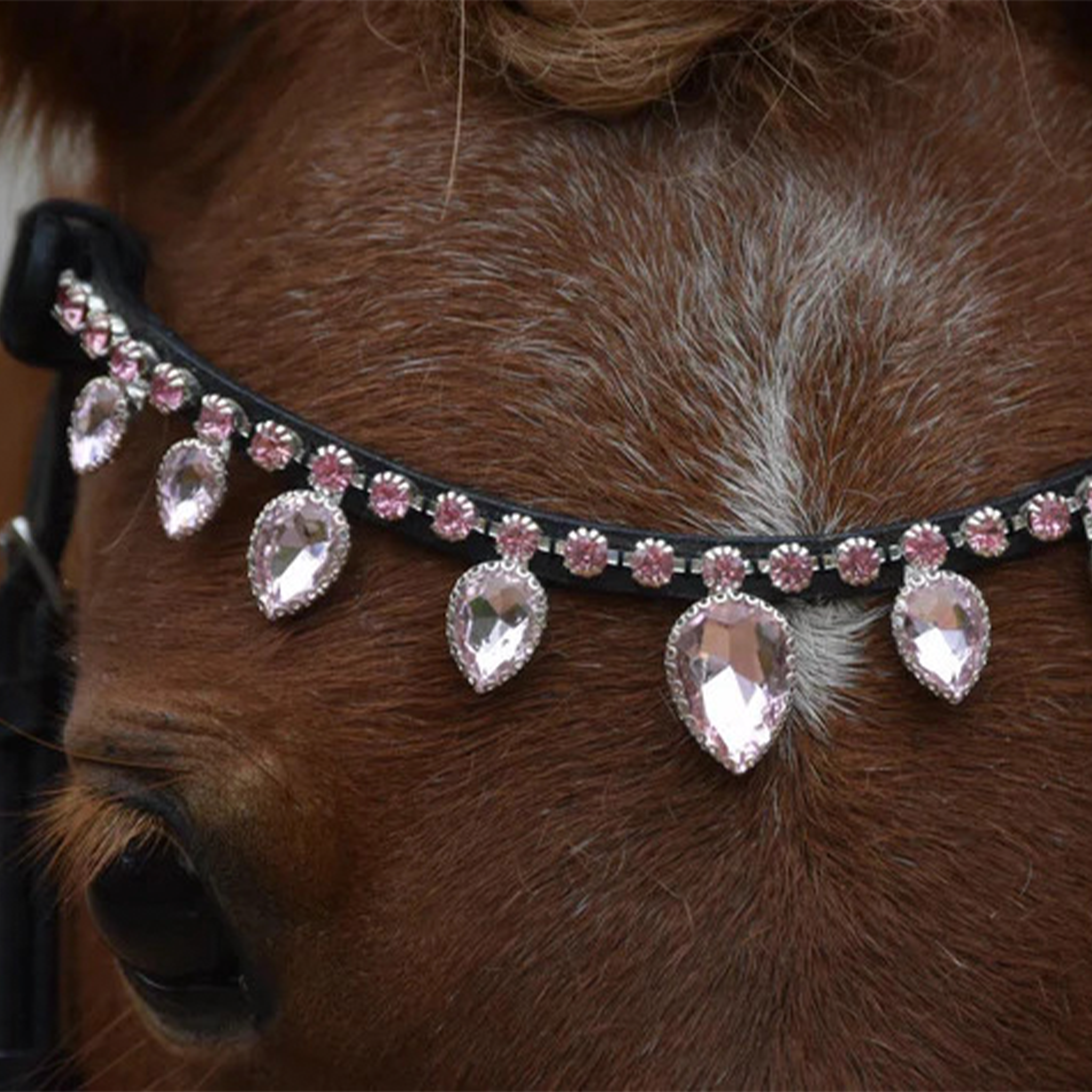 Light Pink Rainbow Drop Browband by Masego